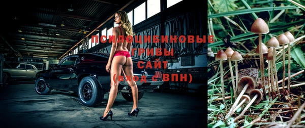 ПСИЛОЦИБИНОВЫЕ ГРИБЫ Балабаново