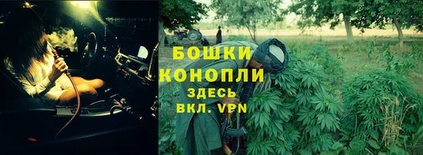 спиды Арсеньев