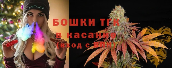 мдпв Заводоуковск