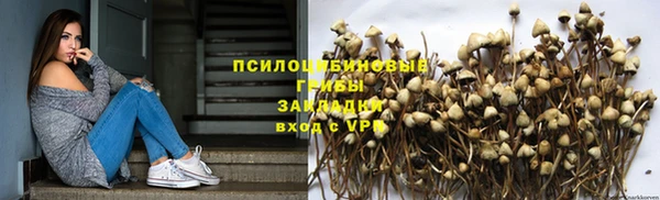 мескалин Аркадак