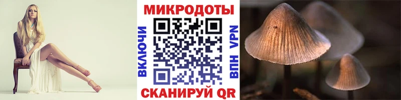 наркотики Нязепетровск Галлюциногенные грибы Psilocybine cubensis